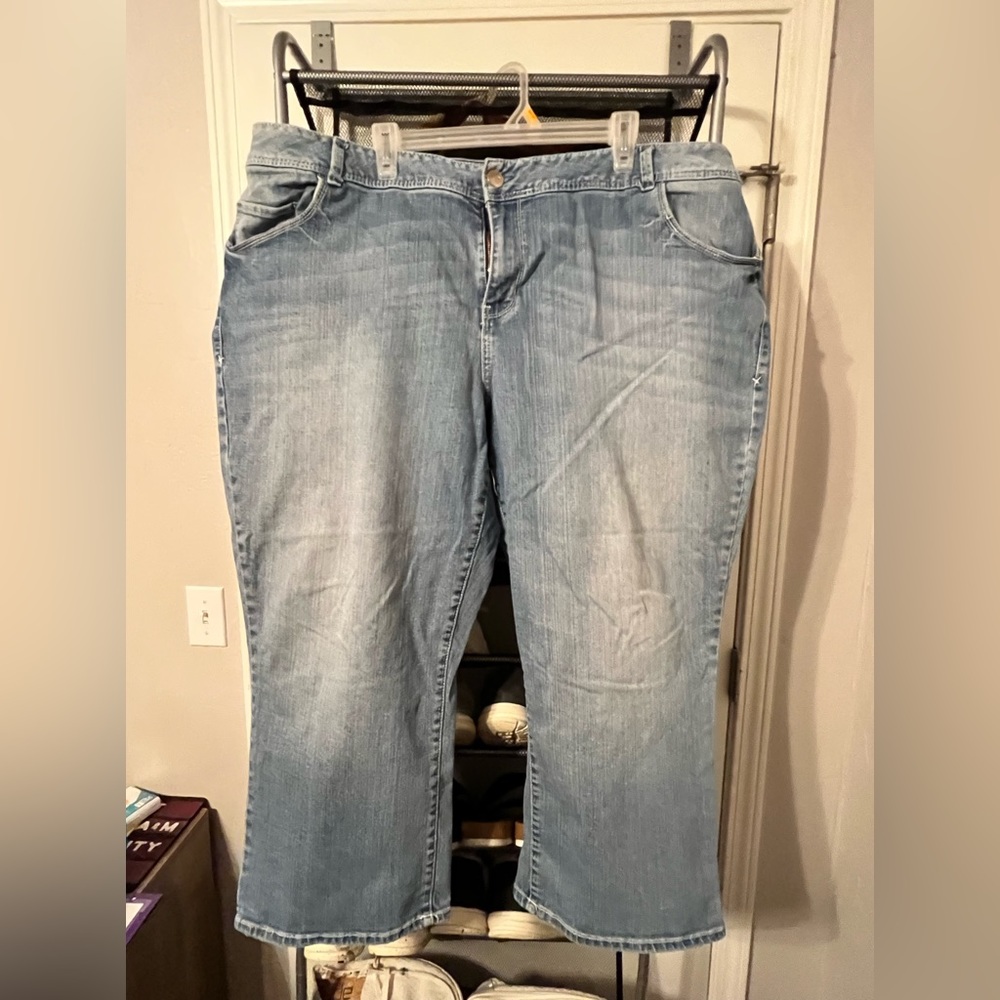Lane Bryant Jeans
